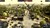 World in Conflict - DirectX 10 Features