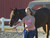 DramaNerdHorseShowing