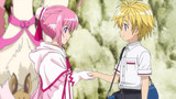 Dog Days Episode 01