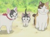 Chi's Sweet Home - Chi's New Address Episode 43