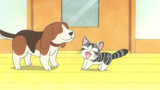 Chi's Sweet Home - Chi's New Address Episode 16