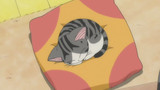 Chi's Sweet Home - Chi's New Address Episode 49