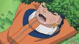 Naruto Episode 204