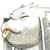 andrewng23 andrewng23