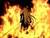 finalfantasyfreak