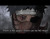 Licha_maiden Licha_maiden