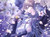 valentine3201 valentine3201