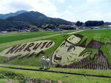 naruto rice field 