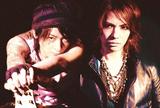 VAMPS
