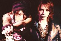 VAMPS