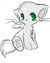 lucy8248