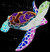 juniorturtle1997 juniorturtle1997