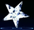 Wateriestar