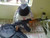 nameless_category
