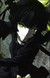 deadmaster91