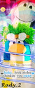 rady_2
