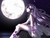 LunaWings LunaWings