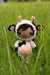 marymoocow