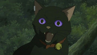Mao