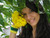 amovoceis