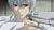 Ayane4ever