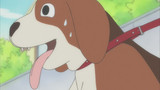 Chi's Sweet Home - Chi's New Address Episode 75