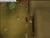 Runescape - Lost city battle