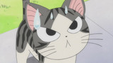 Chi's Sweet Home - Chi's New Address Episode 57