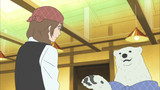 Polar Bear Cafe Episode 50