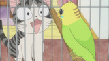 Chi's Sweet Home - Chi's New Address Episode 34
