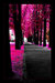splashofCOLOUR
