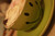 chatz191 chatz191