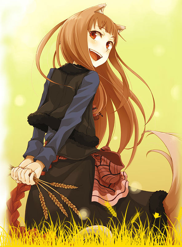 spice and wolf 10th anniversary