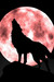Forsightfang