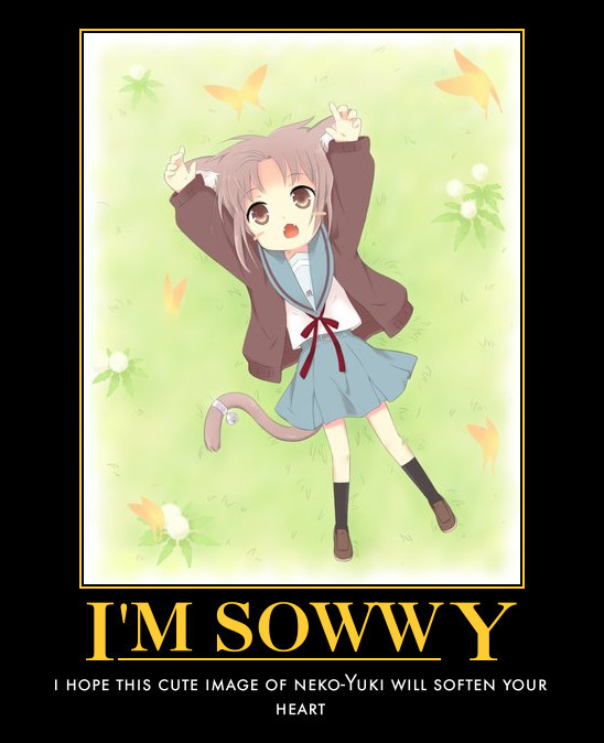 Sowwy