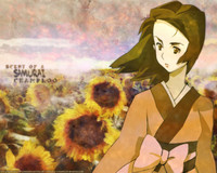 Fuu Kasumi