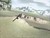 Shadow of the Colossus - Demo Loop 1