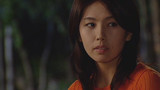 Phoenix Episode 17