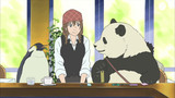 Polar Bear Cafe Episode 13