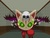 Dark Side Cat - Episode 6 - Dark Side Cat vs. City Councilman