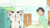 Chi's Sweet Home - Chi's New Address Episode 61