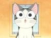 Chi's Sweet Home - Chi's New Address Episode 9