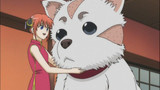 Gintama Episode 72