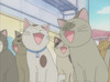 Chi's Sweet Home - Chi's New Address Episode 44