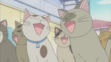 Chi's Sweet Home - Chi's New Address Episode 44