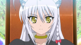 Dog Days Episode 11