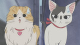 Chi's Sweet Home - Chi's New Address Episode 66