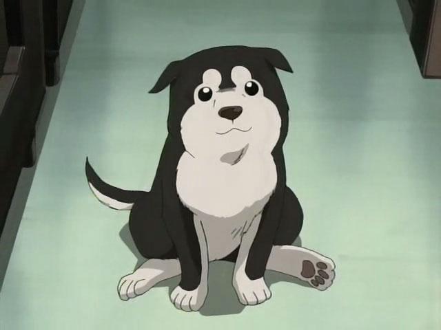 Crunchyroll - Forum - Cutest dog in Anime - Page 6
