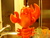martian2143 martian2143