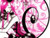 Angel_charm